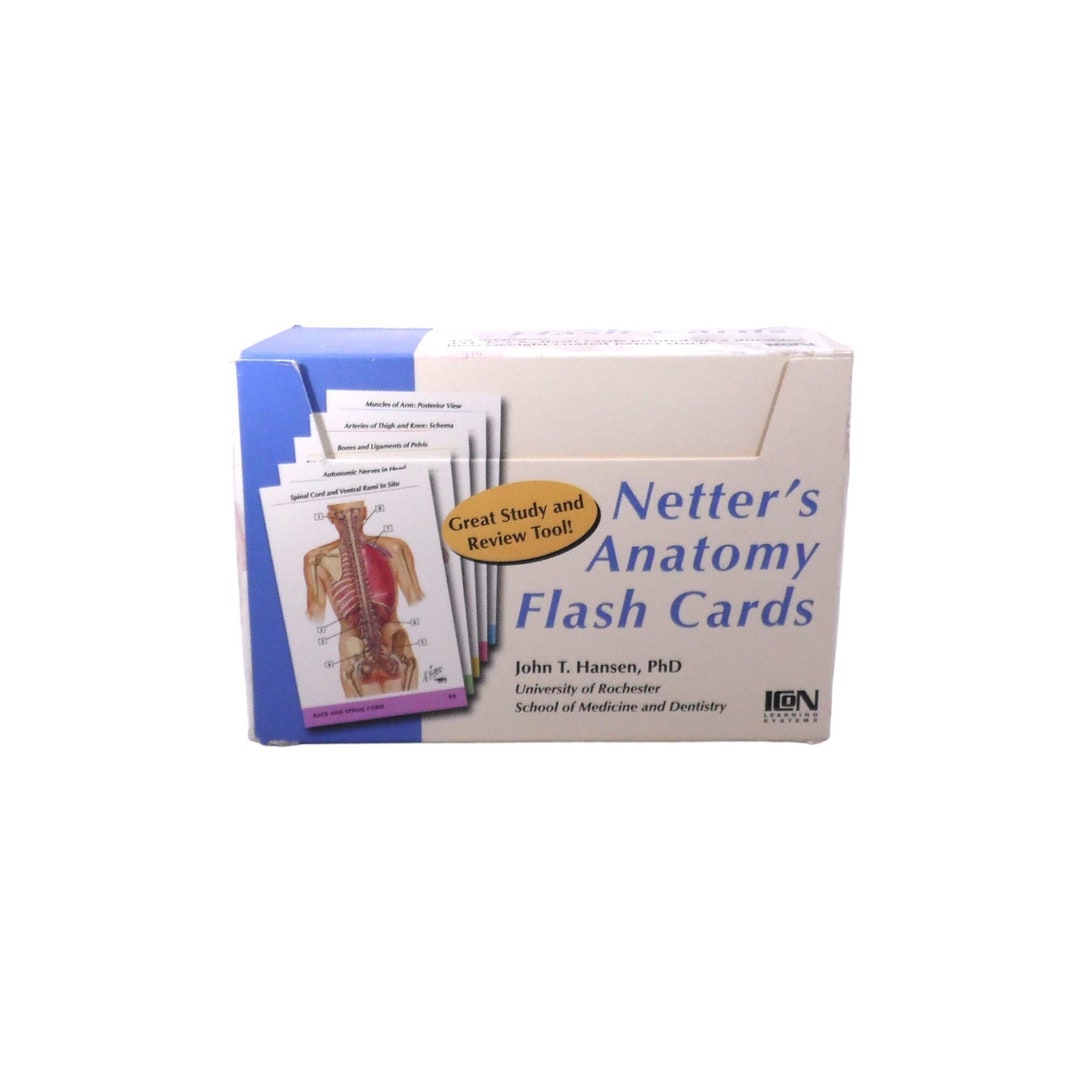 2002 Netter's Anatomy Flash Cards Study Review 313 Cards Icon Learning