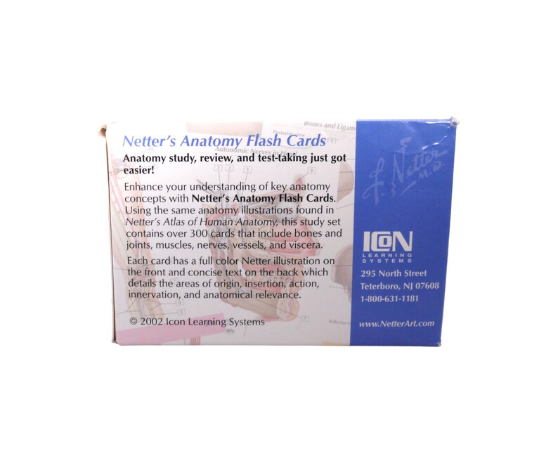 2002 Netter's Anatomy Flash Cards Study Review 313 Cards Etsy