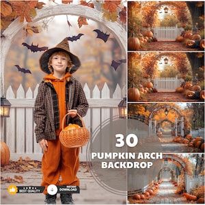 Halloween Digital Backdrop, Pumpkin Arch, Studio Background, Digital Backdrops Toddler Backgrounds, Halloween Arch