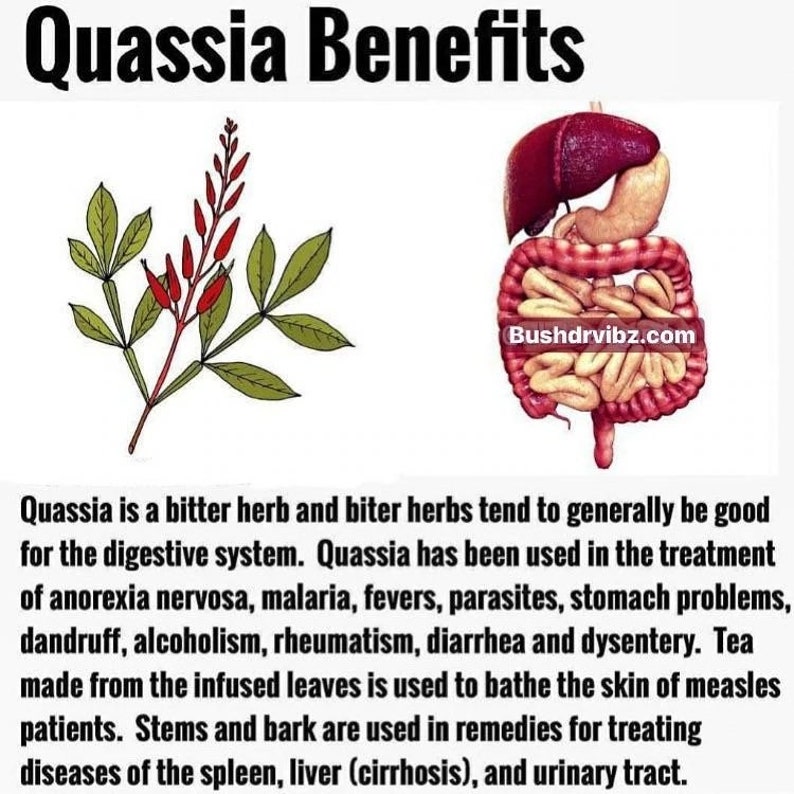 Iron Plus, Dr Sebi Herbs, Reduce Mucus, Purge Parasites, Alkaline