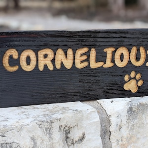 Custom Wood Burned Pet Sign, Torched Handmade Plaque