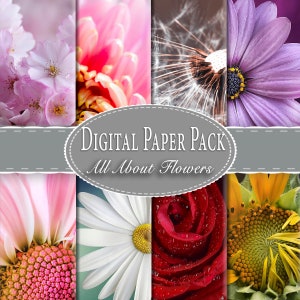 Paquete de papel digital para álbum de recortes con flores silvestres, papel con flores, manualidades con flores, descarga digital, madre naturaleza, papel para diario de descarga instantánea