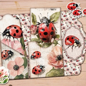Ladybug Printable Folio, Printable Ephemera, Ladybug Junk Journal, Insect Junk Journal, Diário para impressão, Diário da natureza, Presente para mulher, Insetos