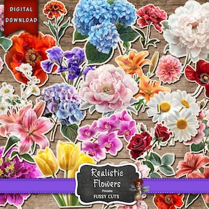 Cortes quisquillosos de flores realistas, pegatinas de flores, suministros de diario, flores de diario basura, descarga digital, suministros de diario basura, imágenes prediseñadas