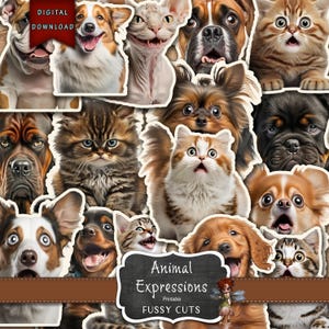 Puede incluir: Una descarga digital de recortes de caras de animales imprimibles. Las imágenes presentan una variedad de animales, incluidos gatos, perros y un conejo, con diferentes expresiones. El texto "Animal Expressions Printable Fussy Cuts" se muestra en una pizarra.