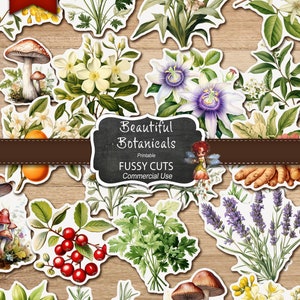 May include: A set of printable botanical illustrations with fussy cuts. The illustrations include flowers, mushrooms, herbs, and berries. The illustrations are perfect for crafting, scrapbooking, and card making.