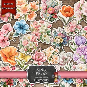 Recortes de flores de primavera, pegatinas de primavera, suministros para diarios, flores para diarios basura, descarga digital, suministros para diarios basura, imágenes prediseñadas