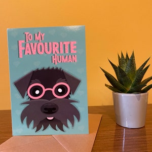 Greetings Cards for Dog Lovers, Black Mini Schnauzer in Glasses, Miniature Schnauzer Birthday Card