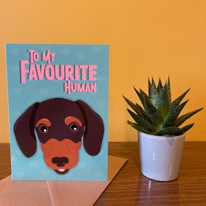 Valentines card from the dog, Cards for Dachshund owners, Sausage Dog birthday card