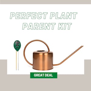 May include: A copper-colored watering can with a long spout and a curved handle, next to a green and white soil meter. The text "PERFECT PLANT PARENT KIT" is above the items, and "GREAT DEAL" is below.