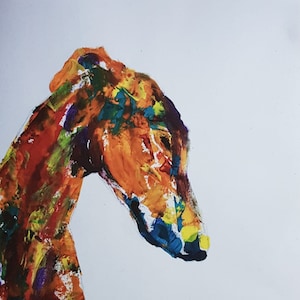 Colored Galgo, Galgo, art, art print, sighthound, art print, print, greyhound print, greyhound art,