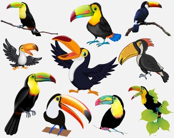 Toucan Bundle Png, Toucan Clipart, Toucan Birds Png, Tropical Birds Png, Watercolor, Sublimation Designs