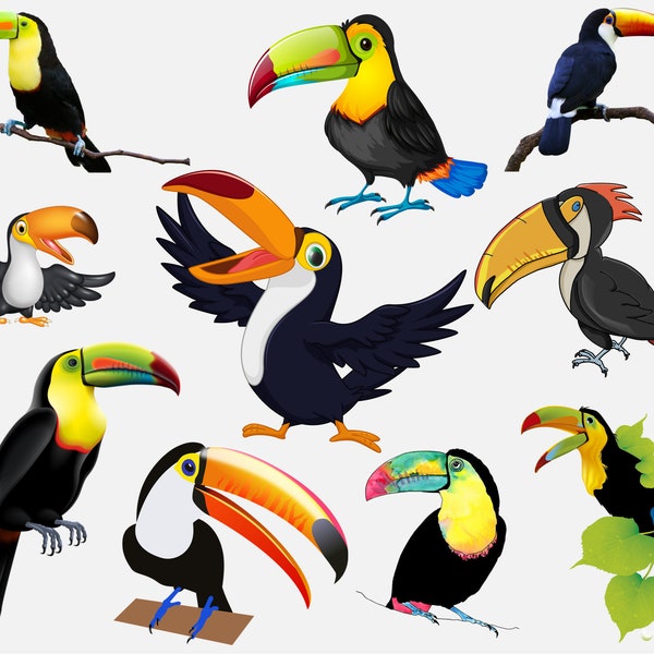 Toucan Bundle Png, Toucan Clipart, Toucan Birds Png, Tropical Birds Png, Watercolor, Sublimation Designs