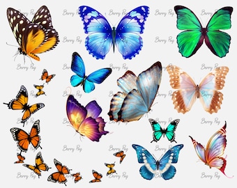 Butterfly PNG Clipart Bundle, Transparent Background (Digital Download)