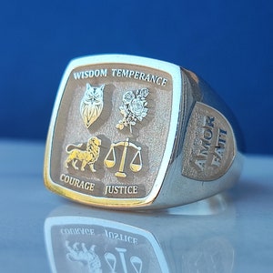 Wisdom Stoick Ring, Für Tugenden, Weisheit Ring, Amor Fati Stoick Ring, Stoick Ring, Halloween, Weihnachtsgeschenk, personalisierte Gifr, Wisdom