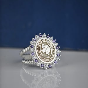 May include: A silver ring featuring the Tarleton State University logo in a circular design. The ring has a double band with a twisted rope texture. The logo is surrounded by small purple and clear gemstones.
