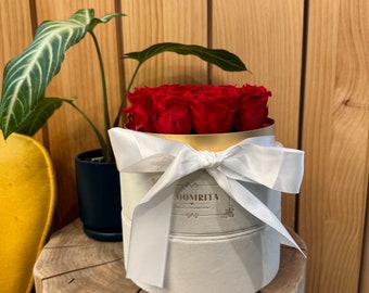 Forever Roses Preserved Rose in Round Velvet Gift Box | Mother’s Day Gift Birthday Gift for Her