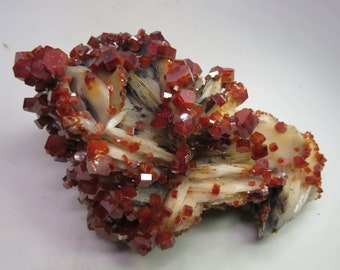 Vanadinite exceptional crystals on Baryte, Midelt, Morocco