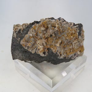 Könnte beinhalten: Ein dunkles, graues Gestein mit transparenten Kristallansammlungen und Bereichen mit braunen und gelben Mineralablagerungen. Der Stein wird auf einem transparenten Acrylständer präsentiert, der seine natürlichen Texturen und Farben hervorhebt. Ca. 10 cm lang.