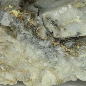 May include: Close-up of a mineral specimen featuring a matrix of white and gray rock with gold-colored flecks. The rock has a rough, textured surface with visible cracks and variations in color and tone.