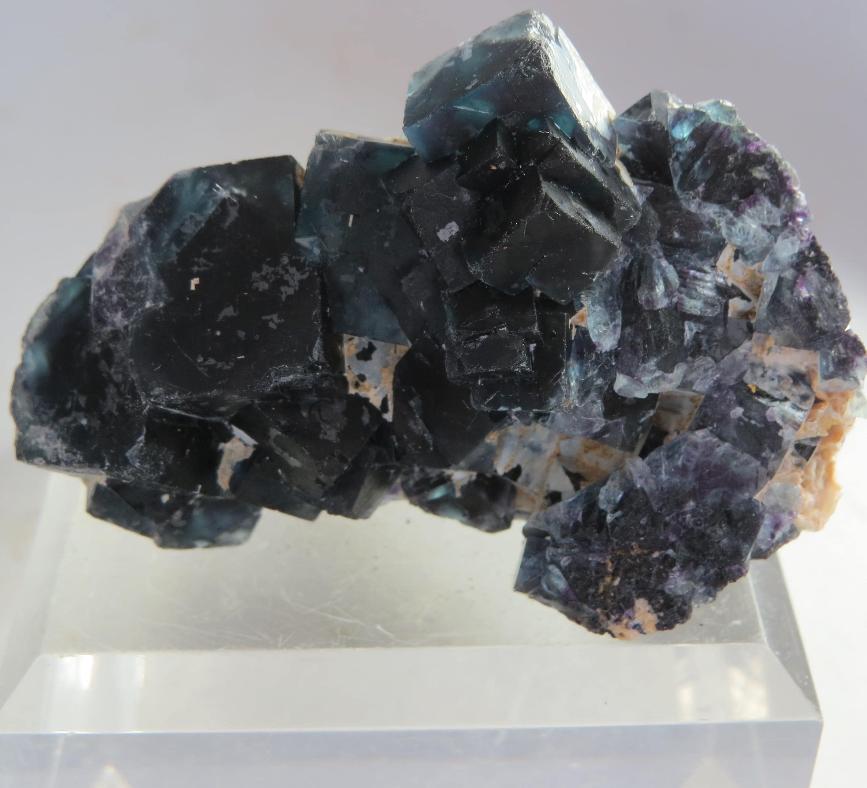 Alien eye fluorite - Etsy 日本