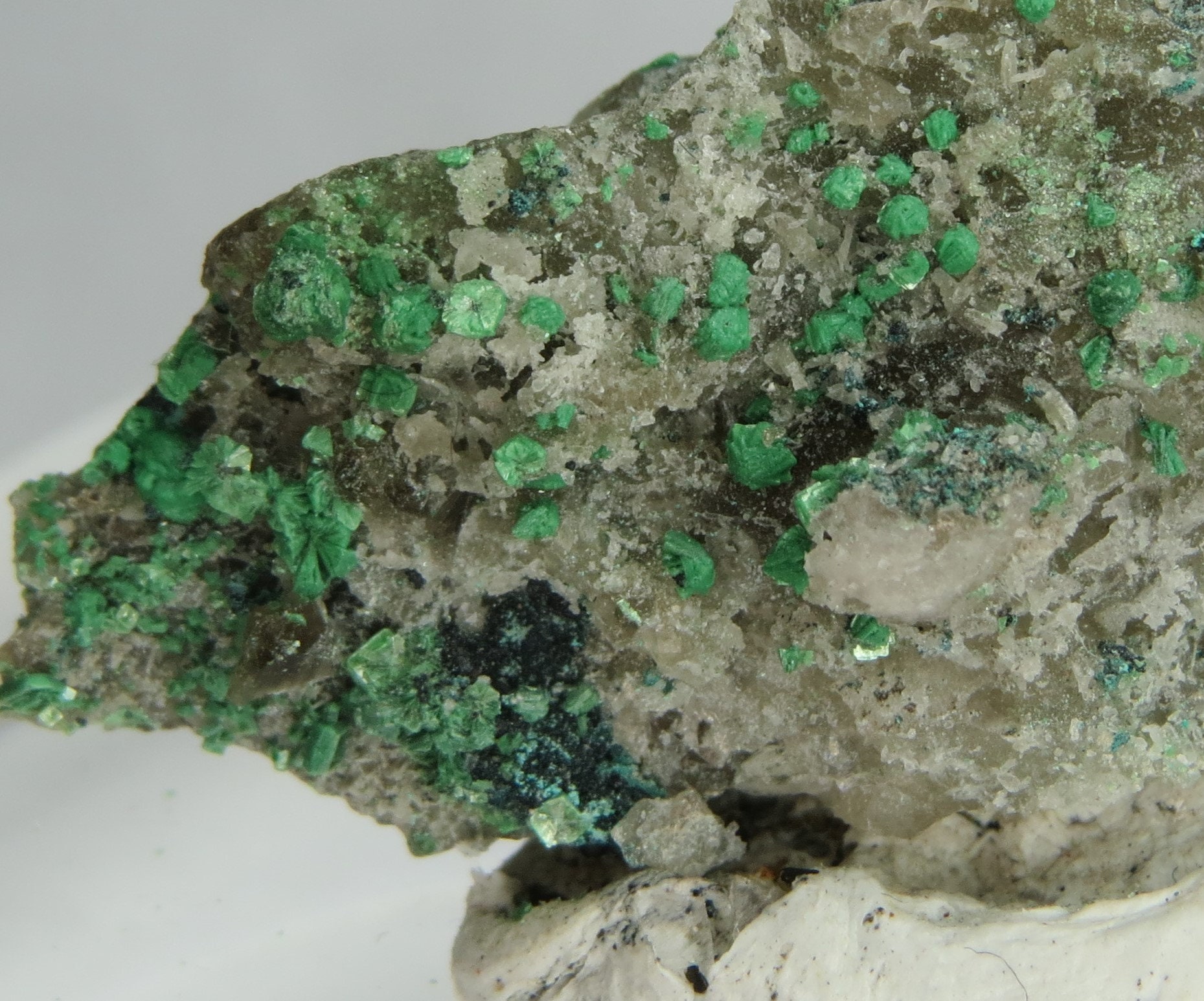 Torbernite mineral - Etsy 日本