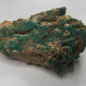 Dioptase, Tsumeb, Namibia (large cabinet specimen)