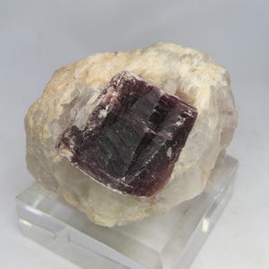 May include: A raw, natural mineral specimen featuring a dark purple, layered crystal formation embedded in a light beige and white stone matrix. The mineral sits on a clear acrylic display stand.