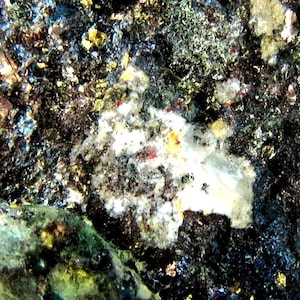 Puede incluir: Primer plano de una formación rocosa con un depósito mineral blanco, gris y negro. La roca está cubierta de pequeñas manchas oscuras y tiene una textura rugosa.
