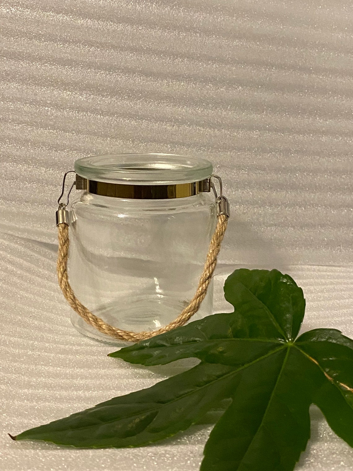 Propagation jar clear glass jar propagation station Etsy