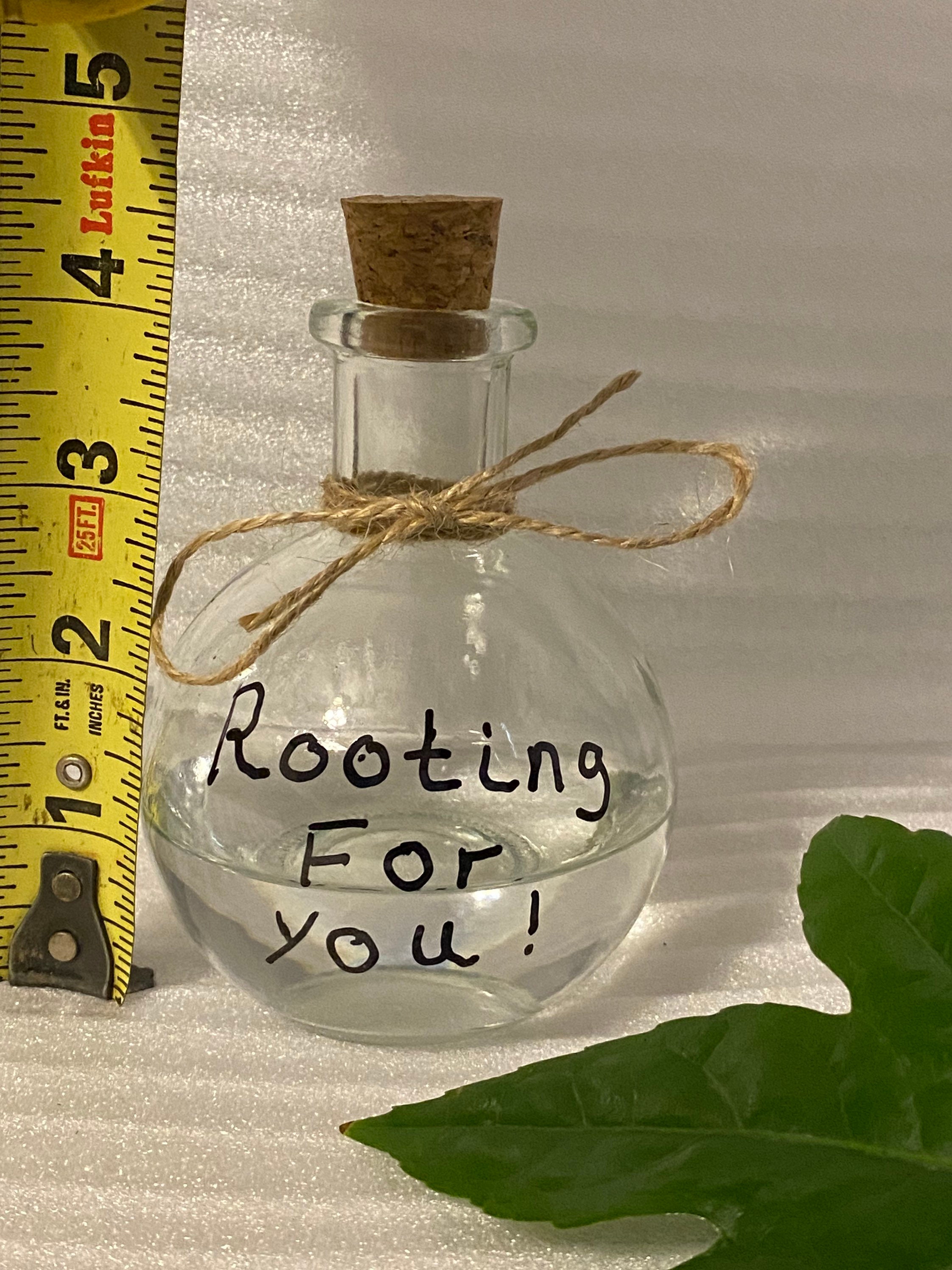 Glass propagation bottle propagation station bud vase Etsy