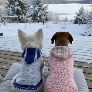 May include: Two dogs wearing handmade crochet hoodies, one white and blue, the other pink and gray, sit on a gray cushion. They are facing away from the camera, overlooking a snowy landscape with evergreen trees and a frozen lake.