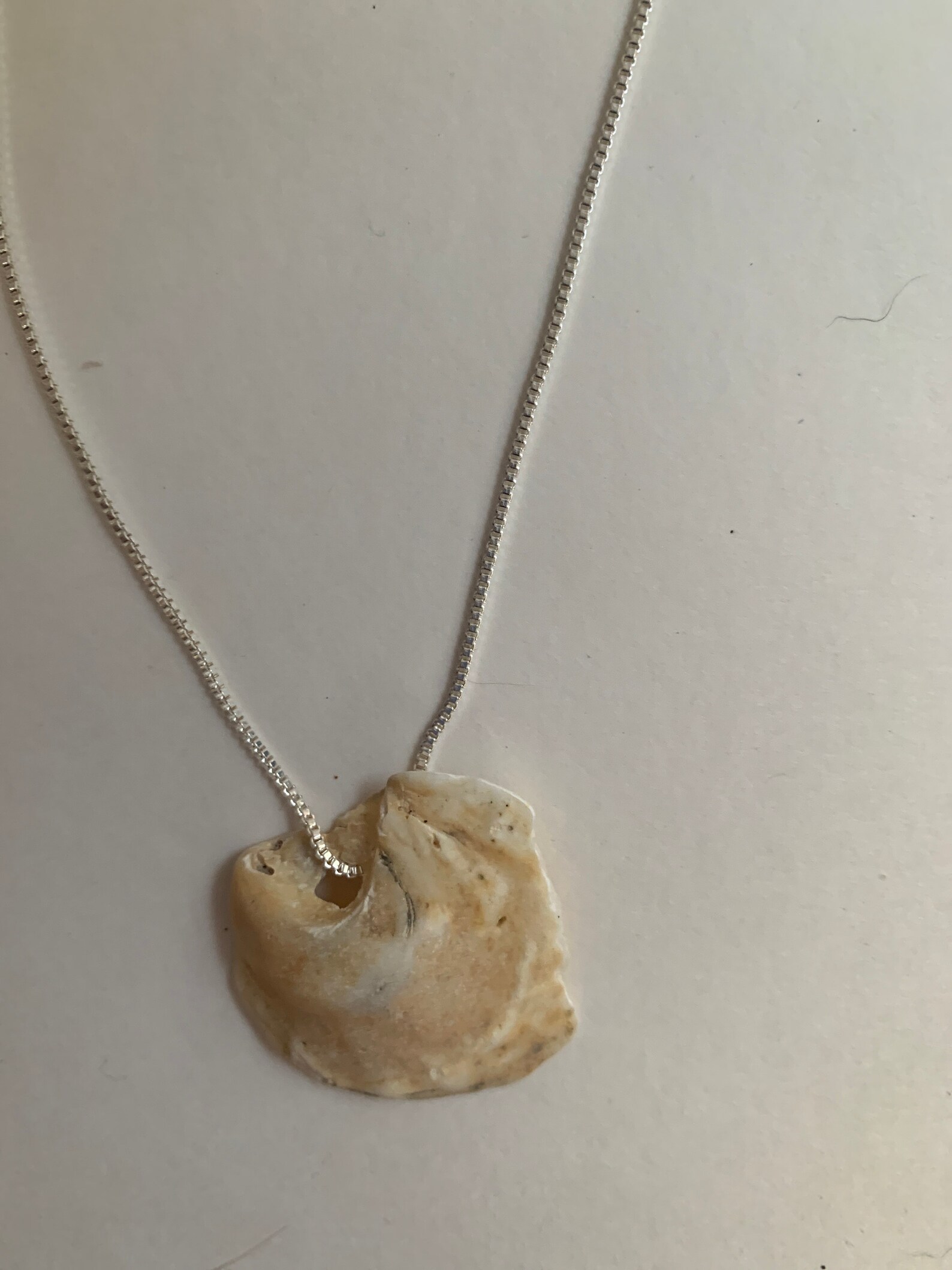 Beach shell necklace Etsy