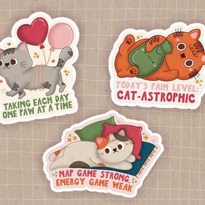 Set de pegatinas de gatos Spoonie (paquete de 3) - Enfermedad crónica, dolor crónico, Spoonie, discapacidad invisible, concienciación sobre la discapacidad, gatos adorables