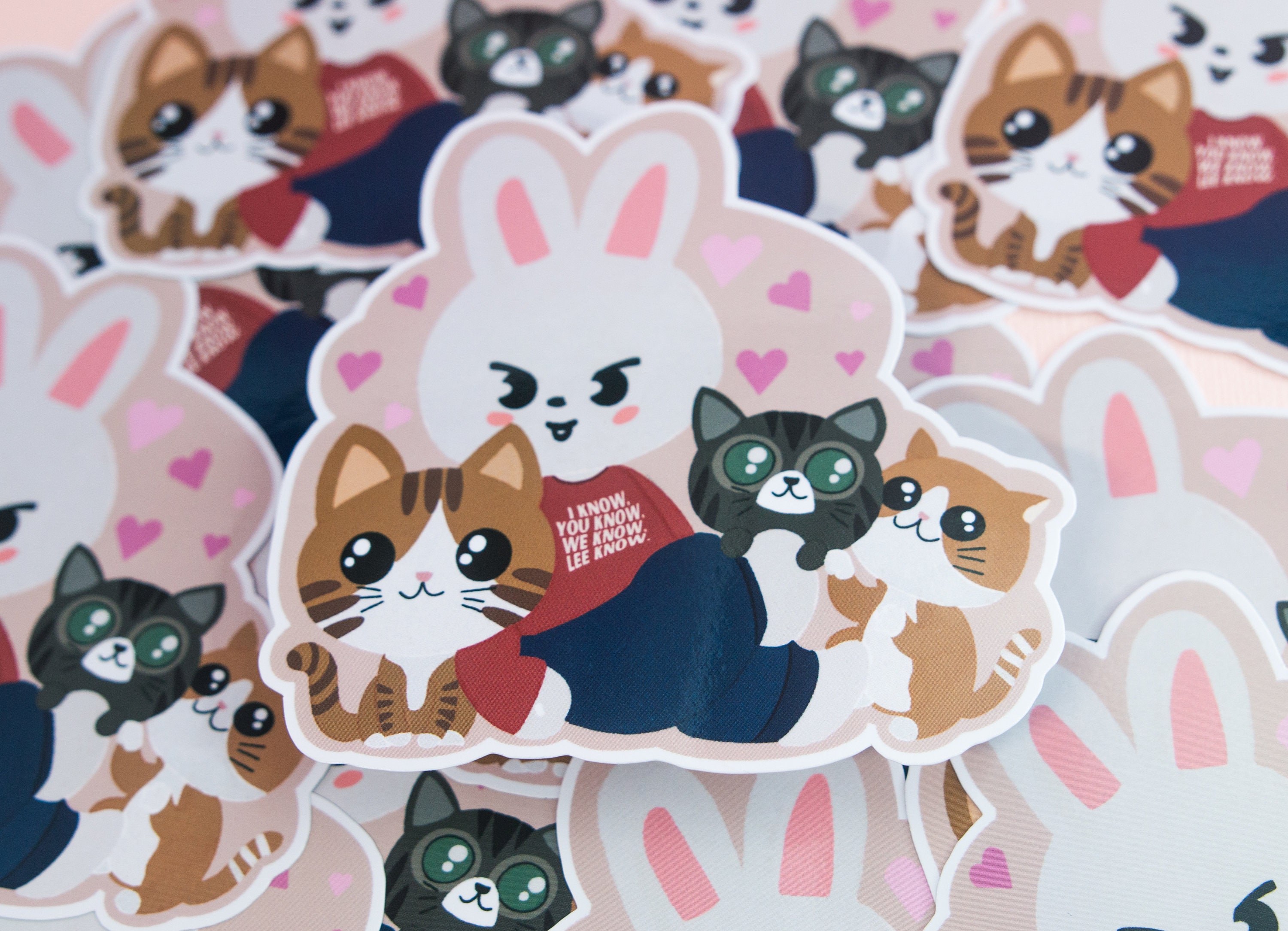 Stray Kids SKZ Lee Know Leebit Skzoo Soonie Doongie Dori Cats