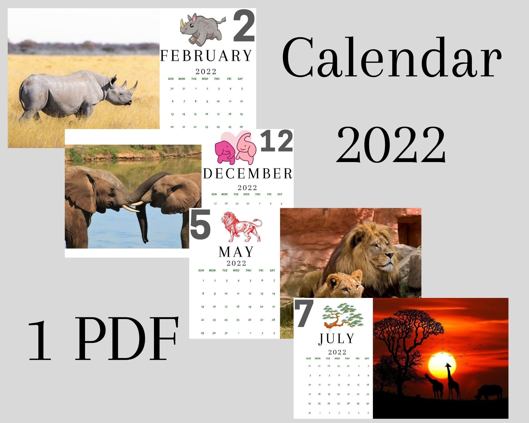 2022 Savannah Calendar Monthly Planner Calendar Printable Etsy