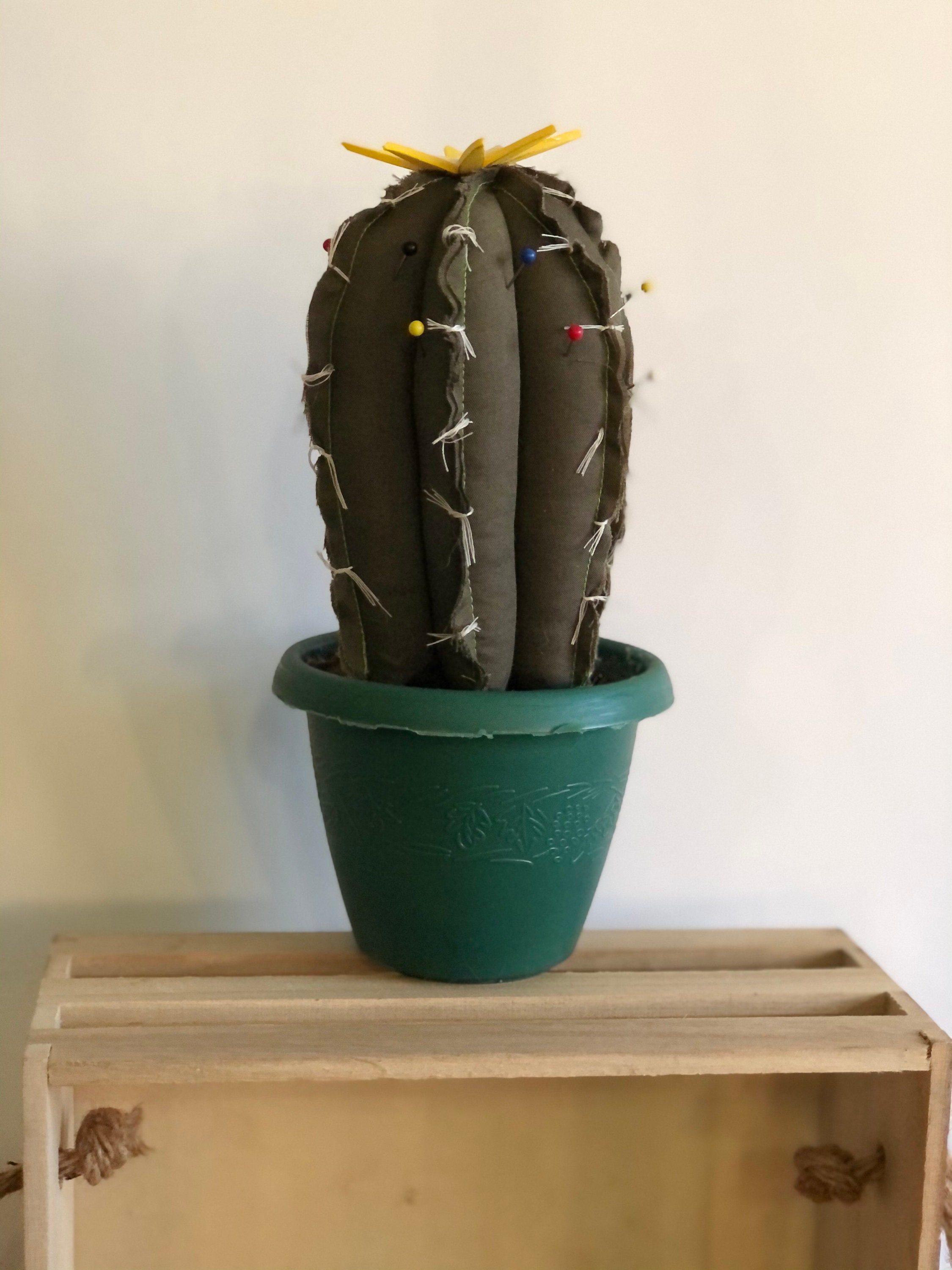 Cactus Pin Cushion Etsy