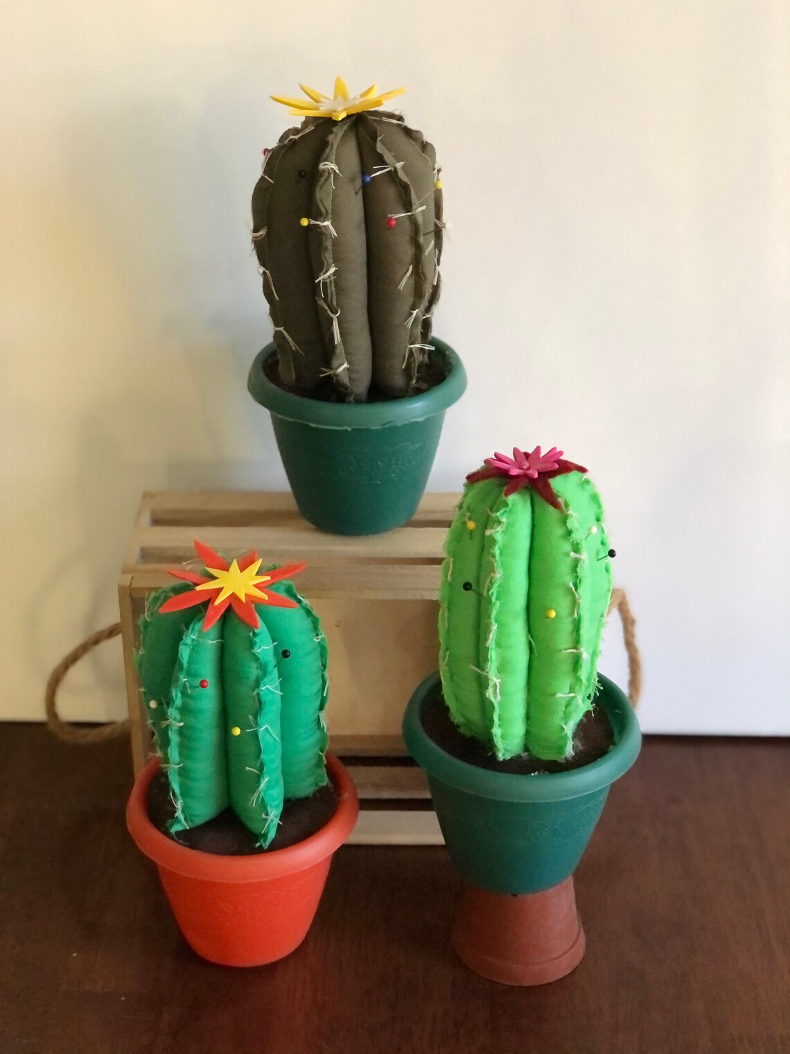 Cactus Pin Cushion Etsy