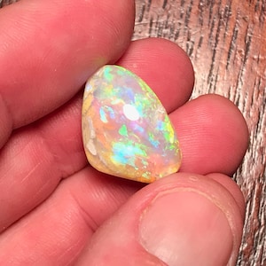 Coober Pedy Australia Solid Opal Fossil Shell