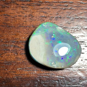 Coober Pedy Australia Solid Opal Fossil Shell