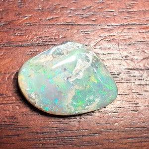 Coober Pedy Australia Solid Opal Fossil Shell