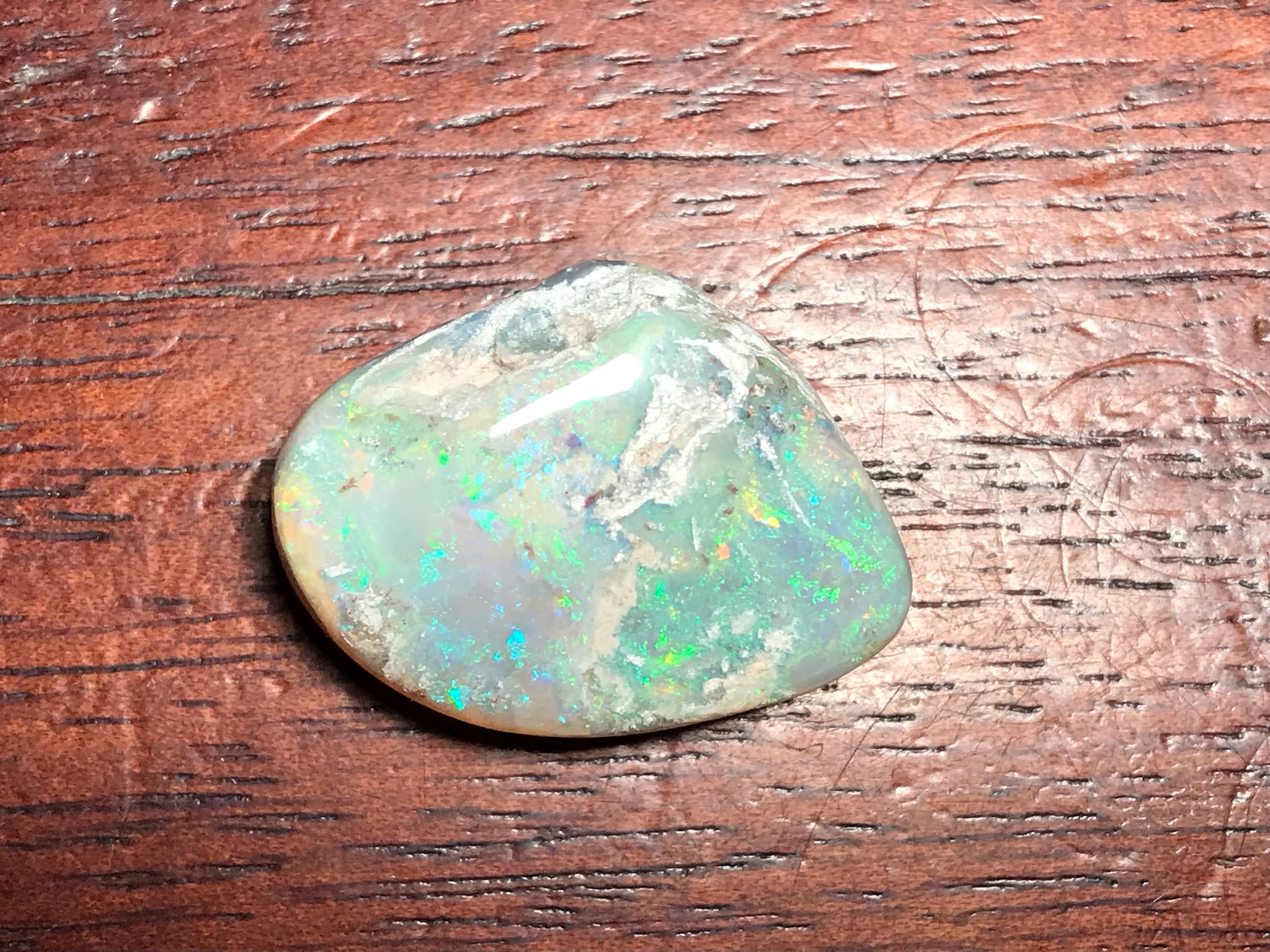 Coober Pedy Australia Solid Opal Fossil Shell