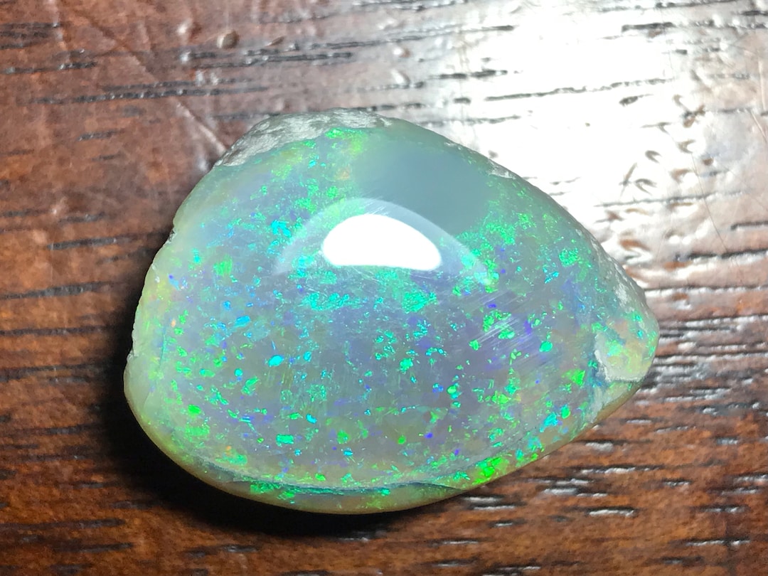 Coober Pedy Australia Solid Opal Shell Fossil - Etsy