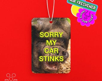 Sorry My Car Stinks, Scented Car Air Freshener *Choose Your Fragrance* stinky smelly pig, design by macaroni & peas