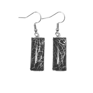 Spider Web Preserved in 10mm x 25mm Glass Stainless Steel Pendant Earrings