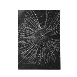 Cartão de arte em miniatura inspirado na natureza, teia de aranha genuína ACEO, teia de inseto colecionável, 2,5 x 3,5" OOAK