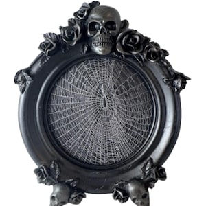 Preserved Spider Web Art: Skull & Roses Gothic Frame, Macabre Decor
