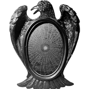 Real Preserved Spider Web in 4x6 Black Raven Frame Vintage Gothic Tabletop Art Oddities Decor Witchy Curiosity Halloween Gift