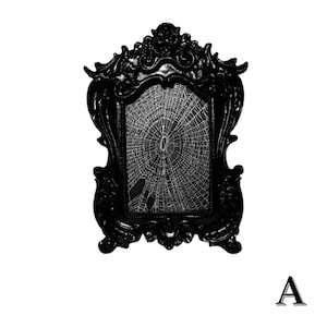 Preserved Spider Web Small Mini Frames Various Sizes