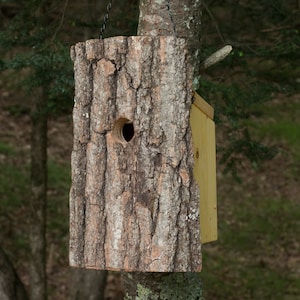 Bluebird House Handmade in NY - Handmade Birdhouse - One of a kind Live Edge Natural Cavity Unique Birdhouse - Bluebird Birdhouse
